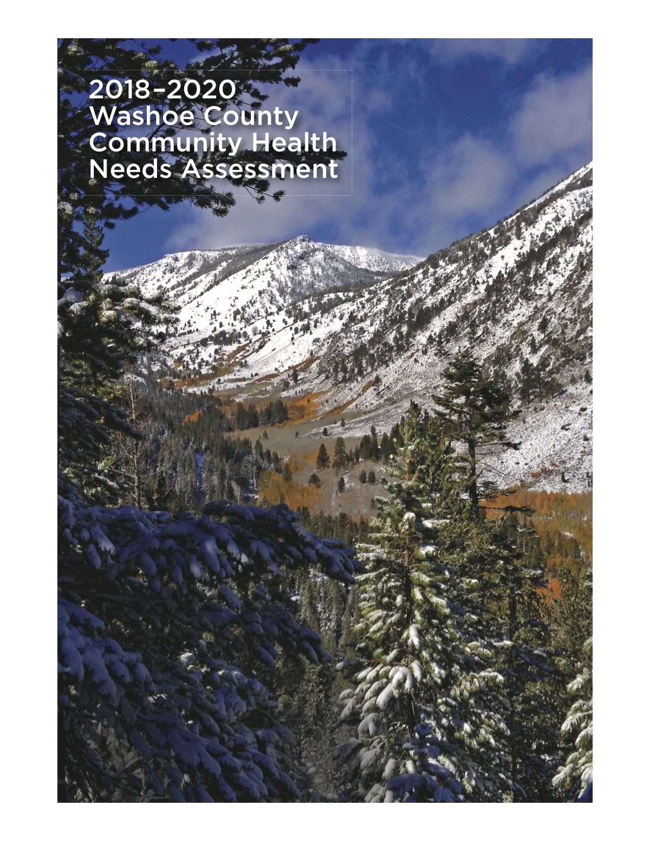 2018–2020 Washoe County Community Health Needs Assessment